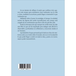 Las cartas que nunca te escribí