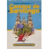 Cómo sobrevivir en el Camino de Santiago