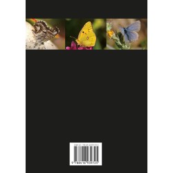 Mariposas diurnas de Gran Canaria