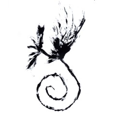 Carlos Casado Francos